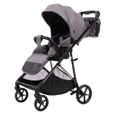 Прогулочная коляска Peppy Amici Grey рама Black Chrome (LX) 01